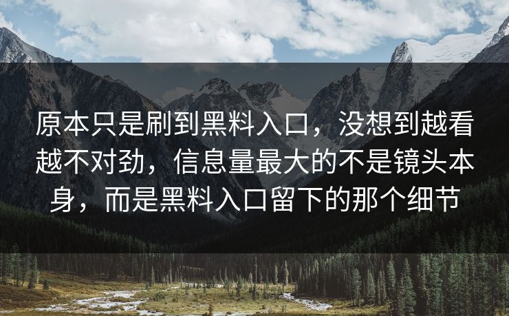 原本只是刷到黑料入口,没想到越看越不对劲,信息量最大的不是镜头本身,而是黑料入口留下的那个细节