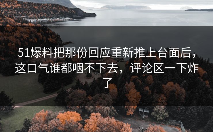 51爆料把那份回应重新推上台面后，这口气谁都咽不下去，评论区一下炸了