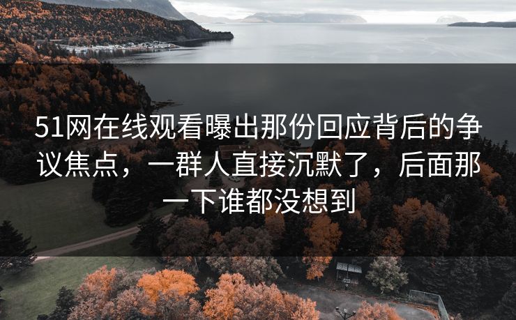51网在线观看曝出那份回应背后的争议焦点，一群人直接沉默了，后面那一下谁都没想到