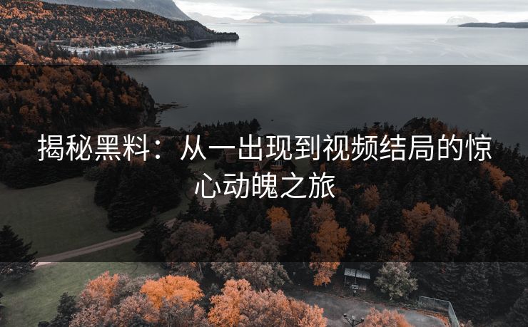 揭秘黑料:从一出现到视频结局的惊心动魄之旅